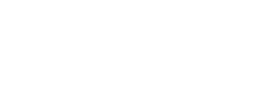 FIDGET Branding